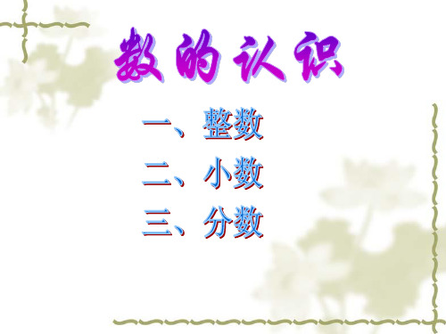 苏教版六年级数学下总复习《数的认识》PPT课件-(3)