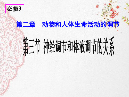 新版人教版高中生物神经调节和体液调节的关系 (共18张PPT)学习演示PPT课件