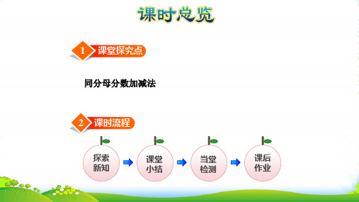 北师大版三年级下册数学课件 第4课时 吃西瓜 (共22张PPT)