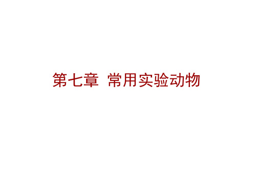 实验动物学：第七章 常用实验动物