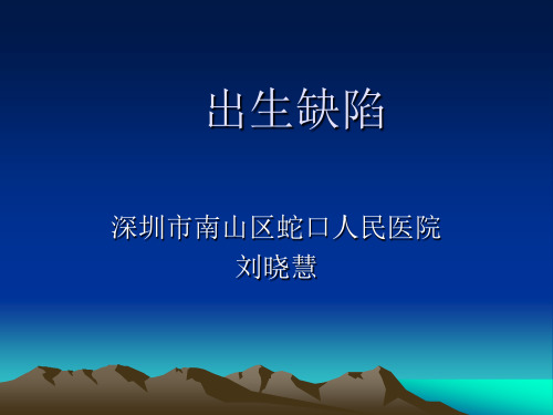 出生缺陷 PPT课件