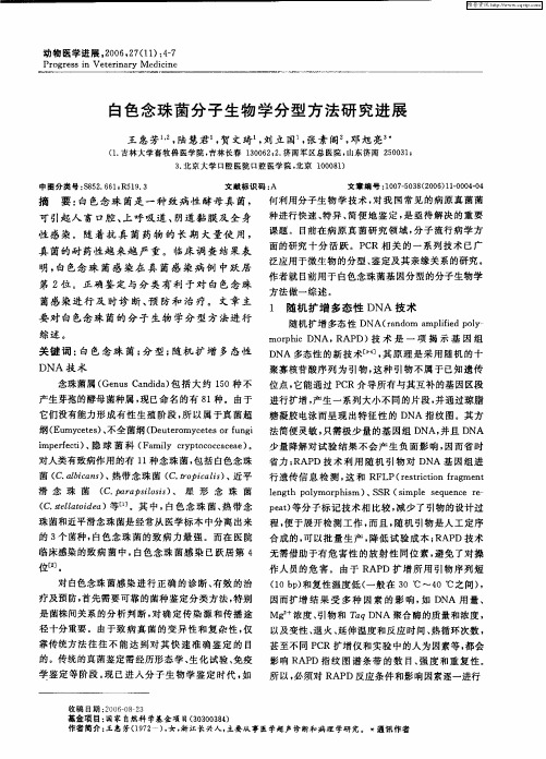 白色念珠菌分子生物学分型方法研究进展