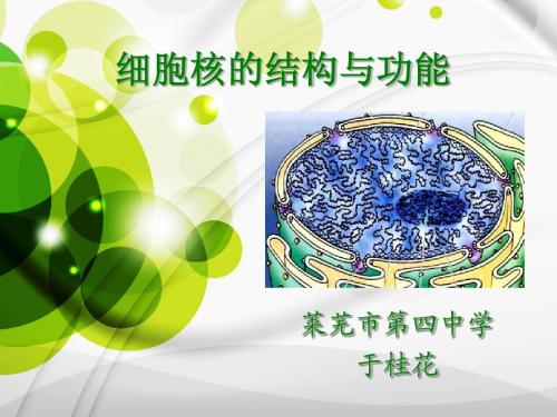 细胞核的结构与功能   省优质课课件