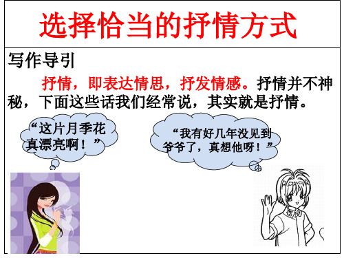 选择恰当的抒情方式