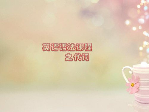 2020年中考英语知识点总复习 代词课件