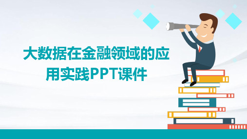 2024年度大数据在金融领域的应用实践PPT课件