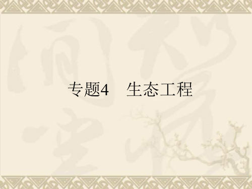 高考生物一轮复习 专题4 生态工程课件 新人教版选修3