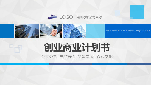 大学生公司创业商业计划书PPT模板