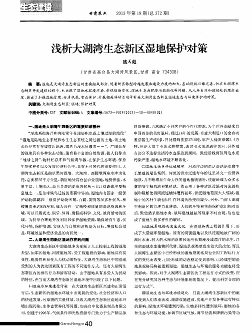 浅析大湖湾生态新区湿地保护对策