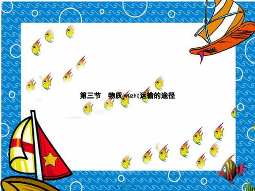 七年级生物下册 3.3.3物质运输的途径