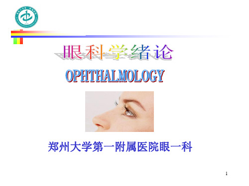 眼科学绪论PPT课件