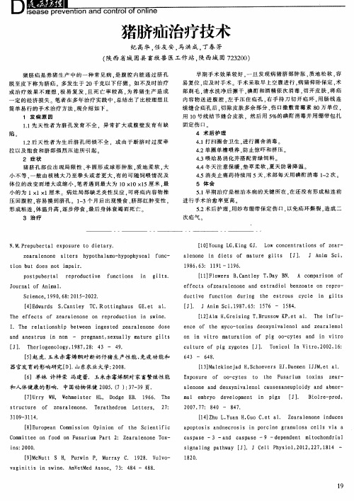 猪脐疝治疗技术
