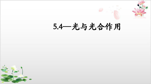 生物人教版必修一能量之源-光与光合作用课件-ppt精品课件