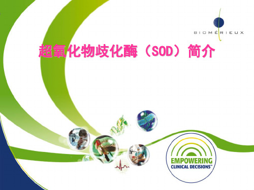 超氧化物歧化酶SOD简介