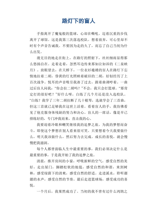 高中生满分作文：路灯下的盲人