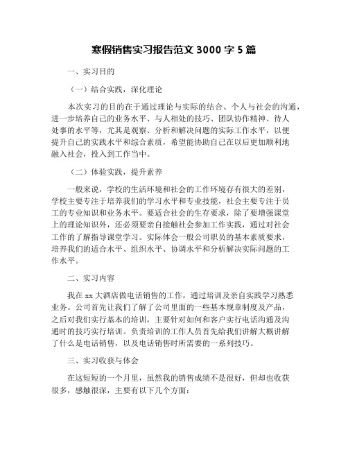 寒假销售实习报告范文3000字5篇