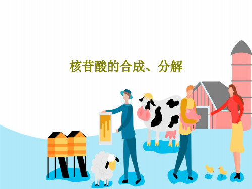 核苷酸的合成、分解33页PPT