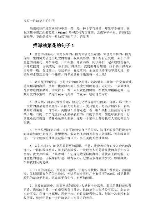 描写一片油菜花的句子