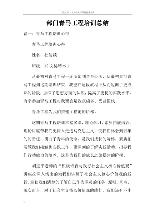 部门青马工程培训总结doc