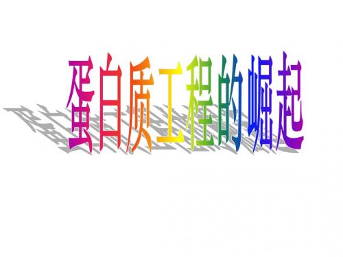 高三生物蛋白质工程的崛起(新201907)