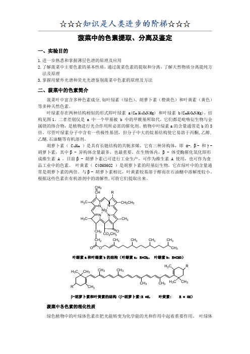 菠菜中色素的提取分离和鉴定(有机化学实验)