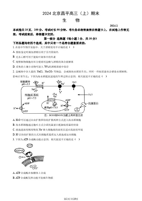 2023-2024学年北京昌平区高三上学期期末生物试题及答案