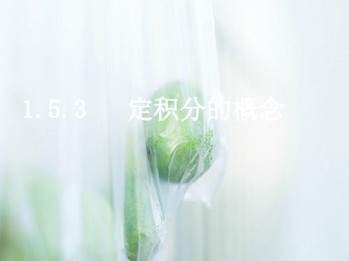 定积分的概念PPT课件