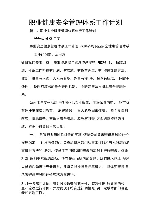 职业健康安全管理体系工作计划