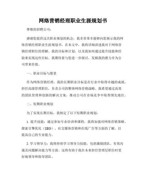 网络营销经理职业生涯规划书