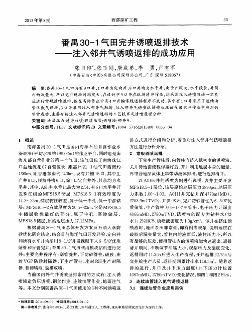 番禺30-1气田完井诱喷返排技术——注入邻井气诱喷返排的成功应用