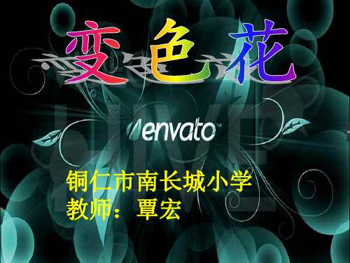 苏教版小学科学l六年级上册《变色花》课件PPT
