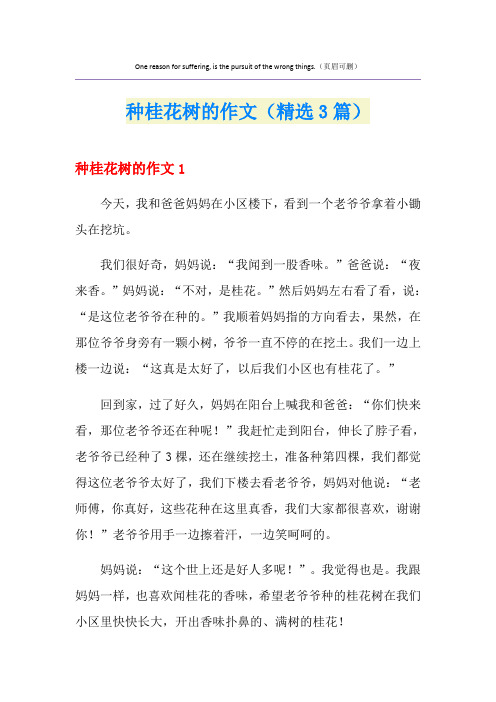 种桂花树的作文(精选3篇)