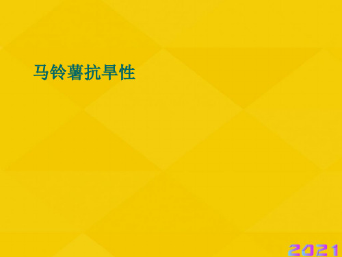 马铃薯抗旱性优秀文档