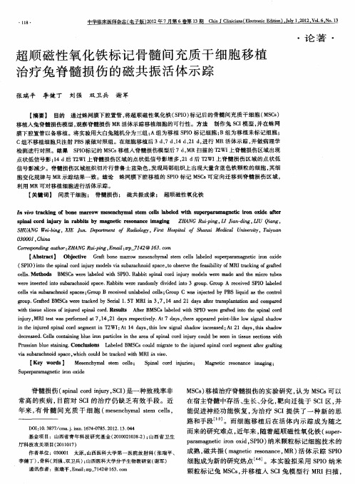 超顺磁性氧化铁标记骨髓间充质干细胞移植治疗兔脊髓损伤的磁共振活体示踪