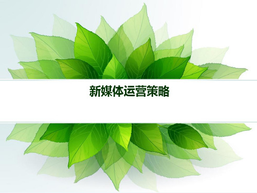新媒体运营方案拿去用