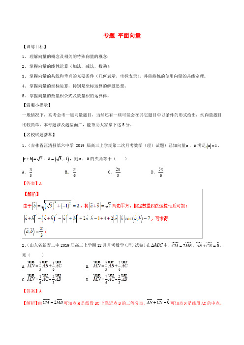 2020年【通用版】高考数学(三轮复习)冲刺专题《平面向量》(含答案)