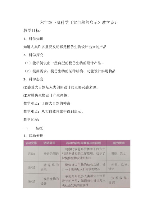六年级下册科学教案-14 大自然的启示｜粤教版 