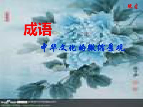 成语：中华文化的缩微景观PPT18 人教课标版
