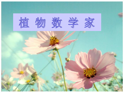 植物数学家
