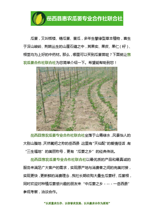 哪里买瓜蒌苗