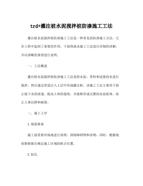 trd+灌注桩水泥搅拌桩防渗施工工法