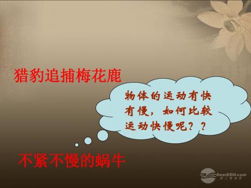 2013年-4《快与慢》课件 沪科版