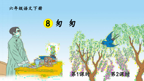 部编人教版六年级语文下册第8课《匆匆》优质课件(共99张PPT)