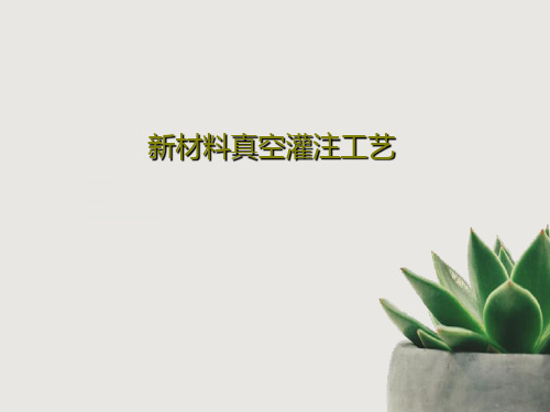 新材料真空灌注工艺共29页