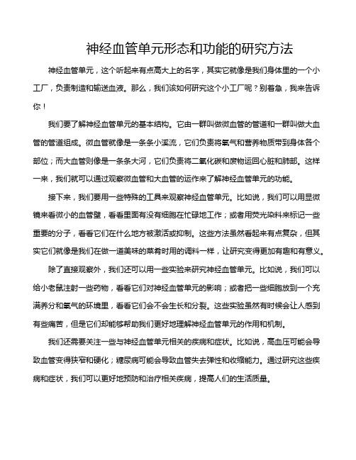 神经血管单元形态和功能的研究方法