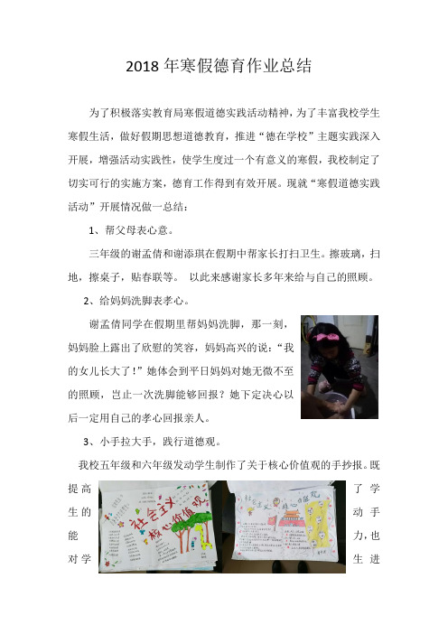 2018年寒假德育作业总结