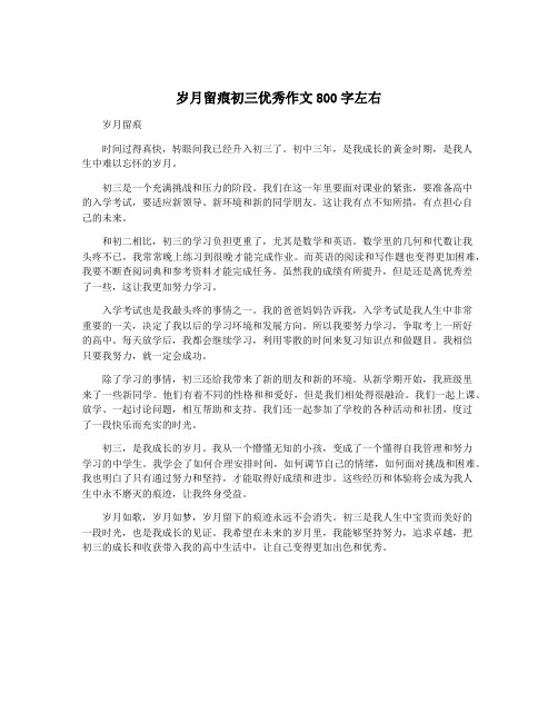 岁月留痕初三优秀作文800字左右