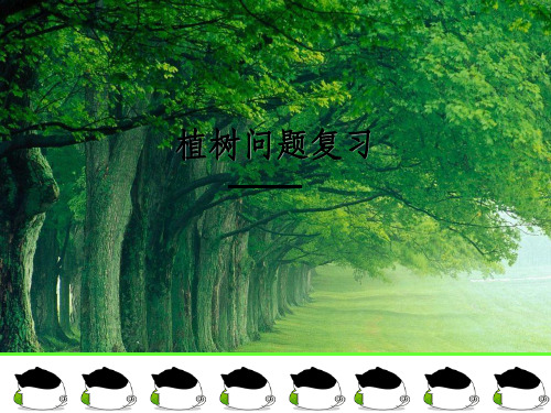 人教版五年级上册数学植树问题总复习ppt课件