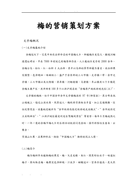 杨梅的营销项目策划实施方案