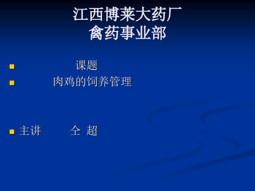 肉鸡的饲养管理
